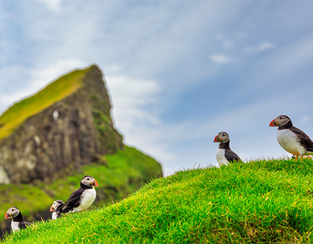 Faroe görseli